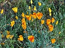 photo thumbnail #8