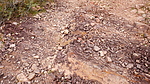 photo thumbnail #11