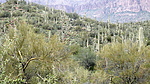 photo thumbnail #12