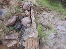 photo thumbnail #3
