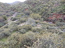 photo thumbnail #9
