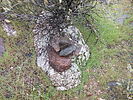 photo thumbnail #10