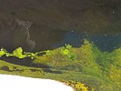 photo thumbnail #15
