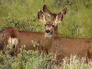 photo thumbnail #13