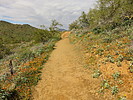 photo thumbnail #12