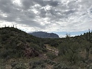 photo thumbnail #2