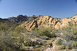photo thumbnail #2