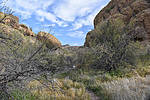 photo thumbnail #3