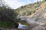 photo thumbnail #4