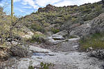 photo thumbnail #5