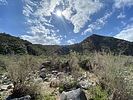 photo thumbnail #3
