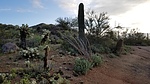 photo thumbnail #3