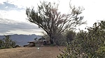 photo thumbnail #9