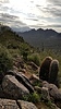 photo thumbnail #15