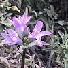 photo thumbnail #14