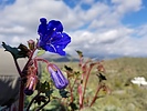 photo thumbnail #7