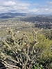 photo thumbnail #3