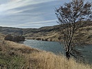 photo thumbnail #1