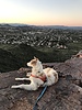 photo thumbnail #3