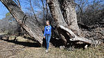 photo thumbnail #4