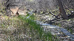 photo thumbnail #5