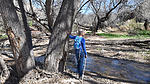 photo thumbnail #10