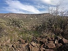 photo thumbnail #3