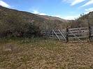photo thumbnail #10
