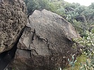 photo thumbnail #13