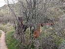 photo thumbnail #15