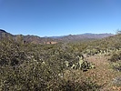 photo thumbnail #1