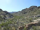 photo thumbnail #4