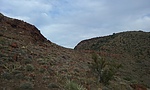 photo thumbnail #3