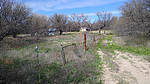 photo thumbnail #14