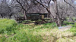 photo thumbnail #15