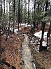 photo thumbnail #13