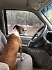 photo thumbnail #15