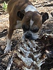 photo thumbnail #2