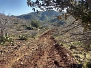 photo thumbnail #2
