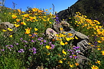 photo thumbnail #10