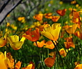photo thumbnail #11