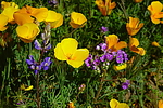 photo thumbnail #14