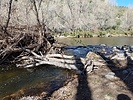 photo thumbnail #1