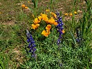 photo thumbnail #7