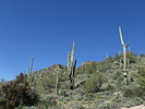 photo thumbnail #9