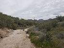 photo thumbnail #1