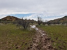 photo thumbnail #5