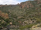 photo thumbnail #7