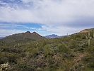 photo thumbnail #8