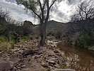 photo thumbnail #9